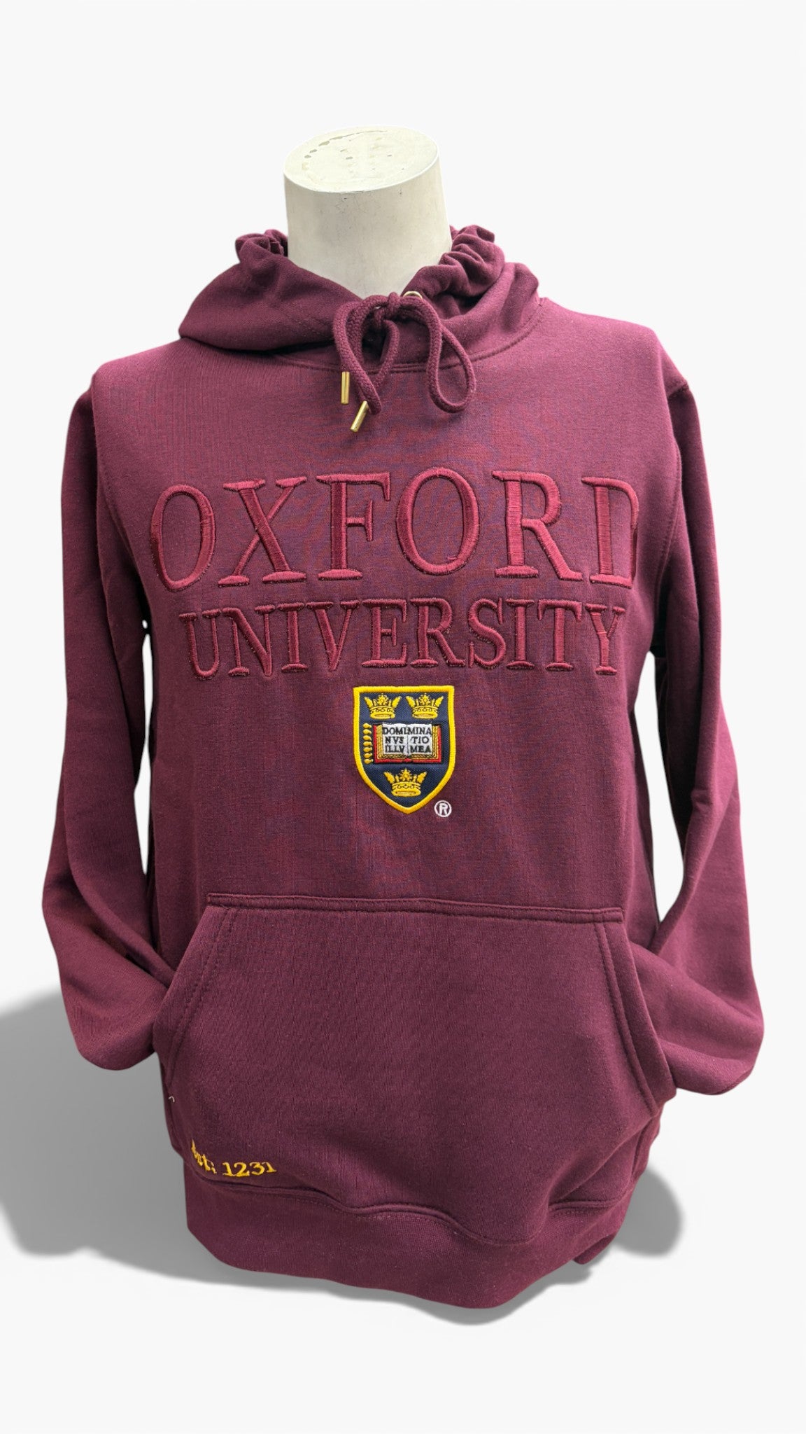 Oxford University Raised Embroidery Hoodie